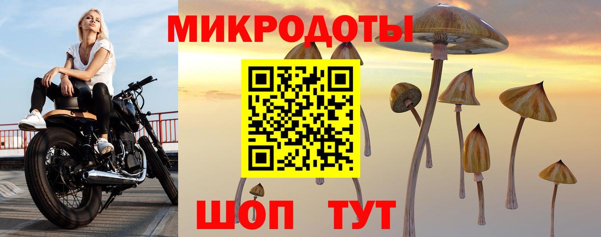 Псилоцибиновые грибы GOLDEN TEACHER  Псилоцибиновые грибы MAGIC MUSHROOMS  Красноуфимск  Вход с VPN 